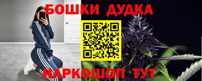 мдпв Обь