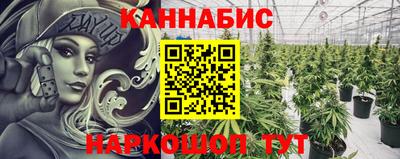мдпв Обь