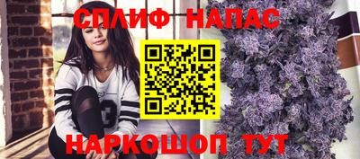 мдпв Обь